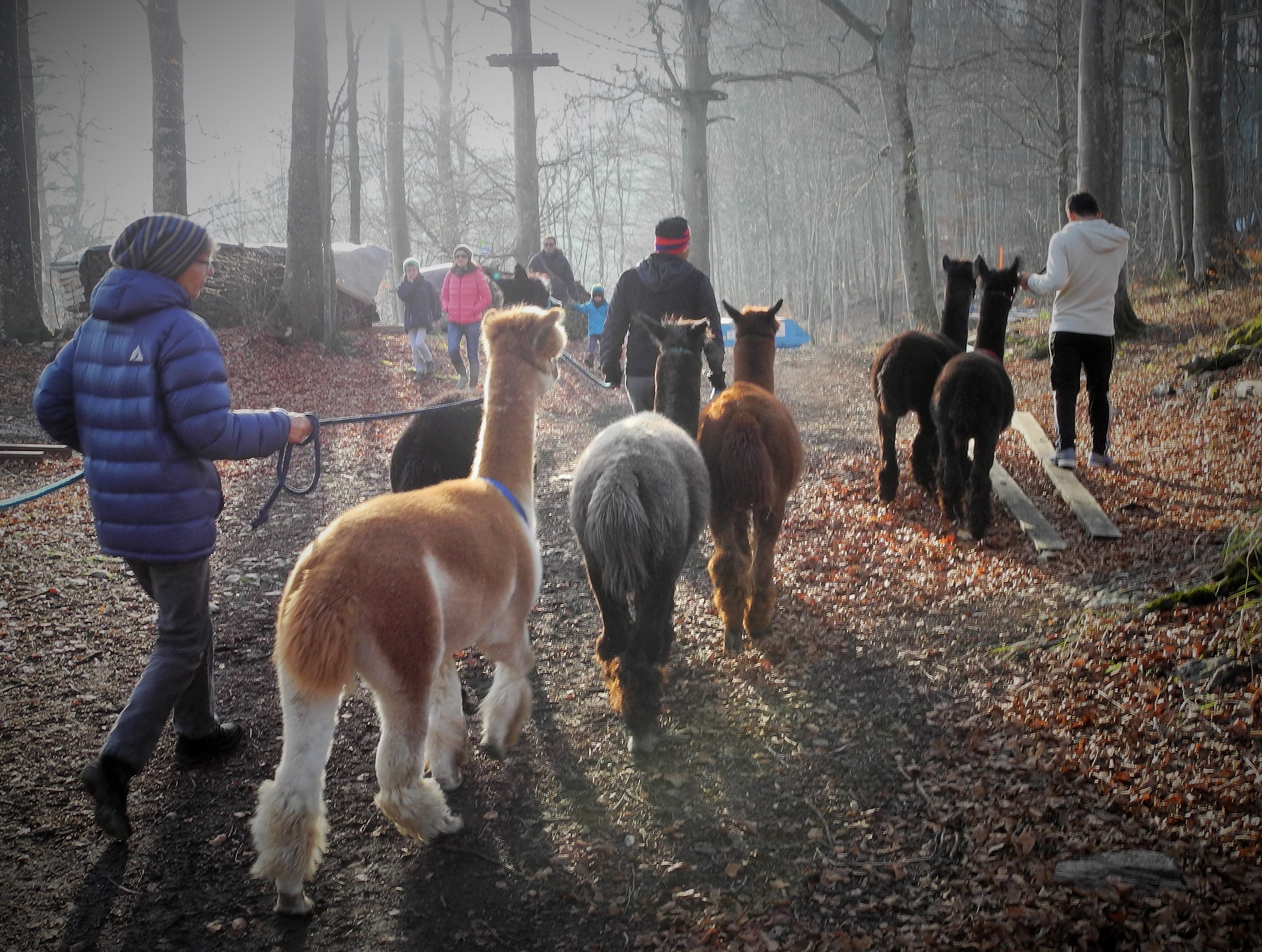 Wandern Jura