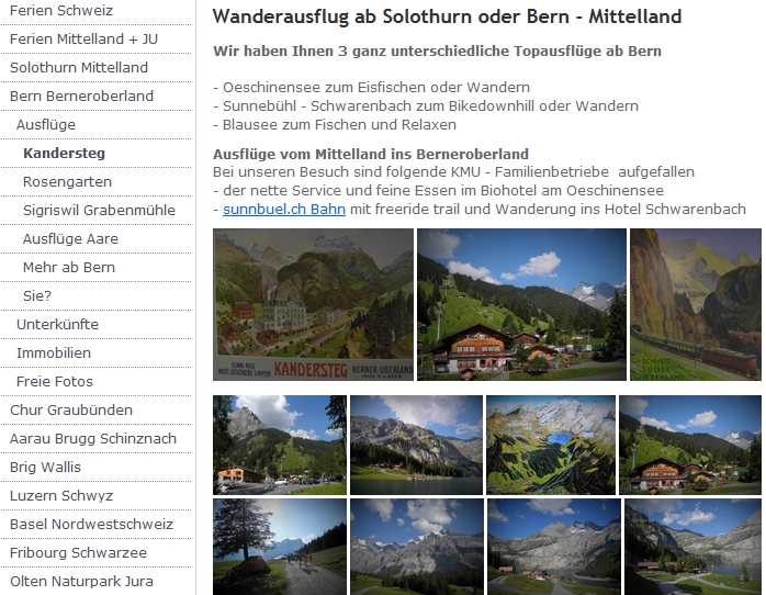 immobilien solothurn490