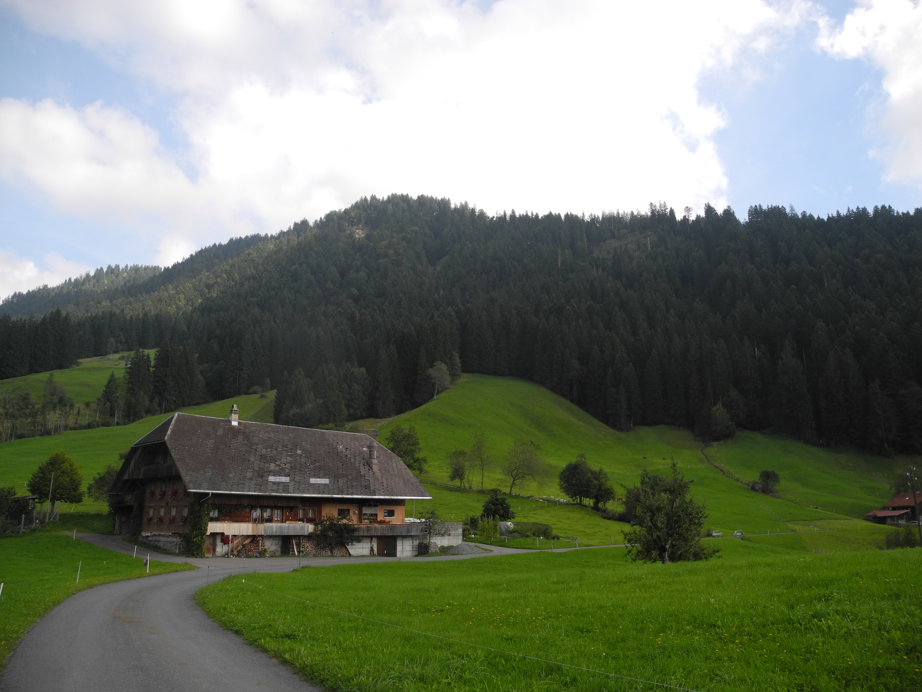 bauernhof-besuchen-emmental-2