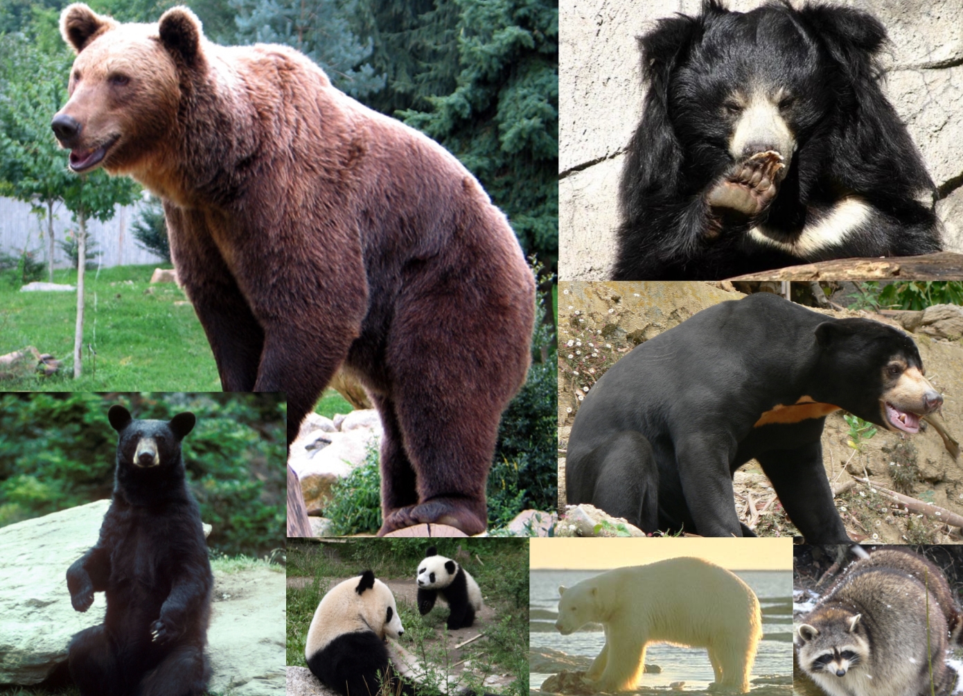 region-solothurn-tourismus140