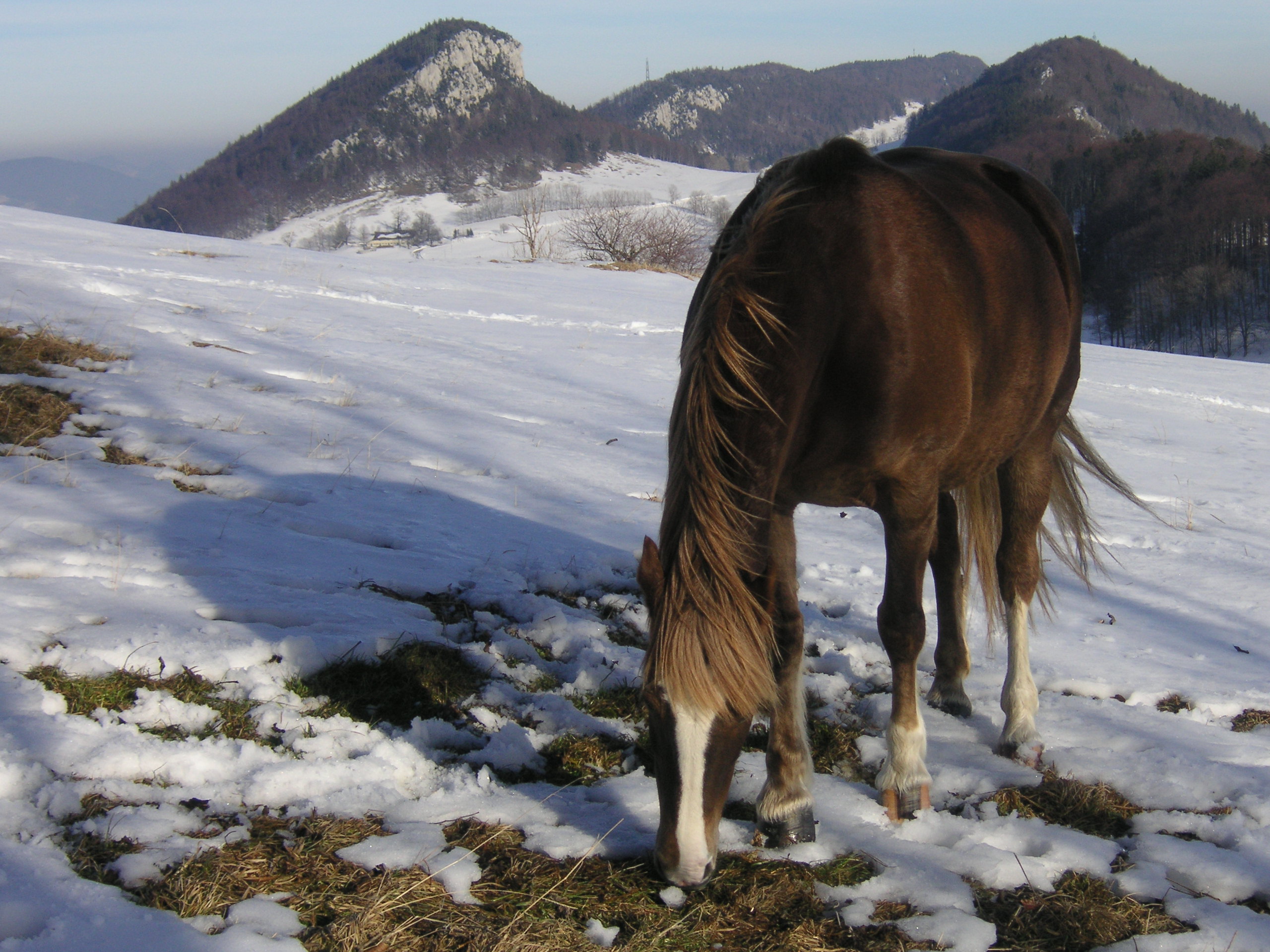 reiferien schweiz