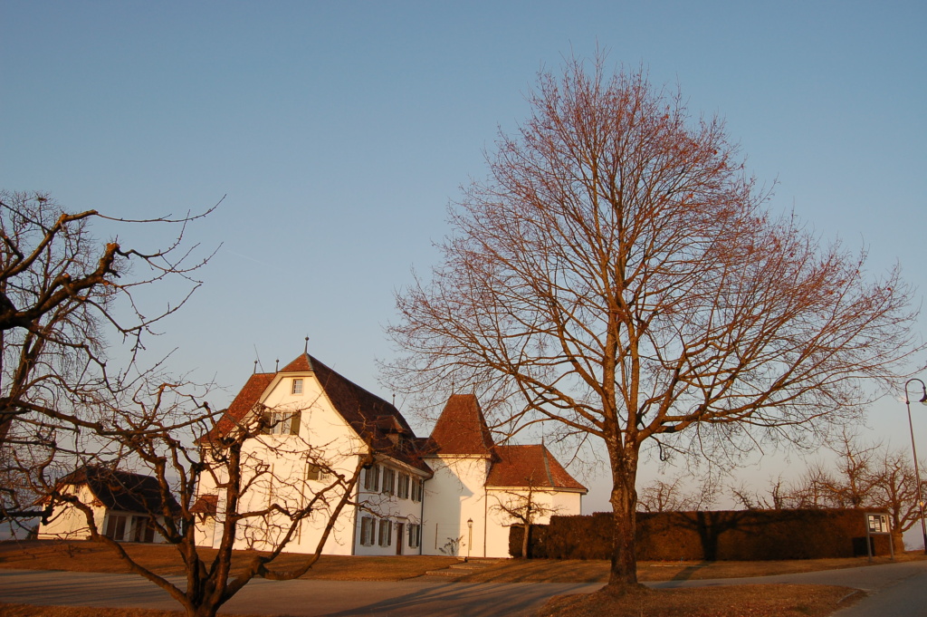 schloss mieten schweiz