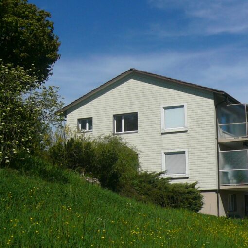mfh kaufen mittelland