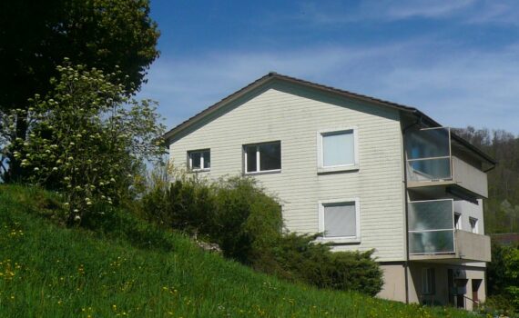 mfh kaufen mittelland