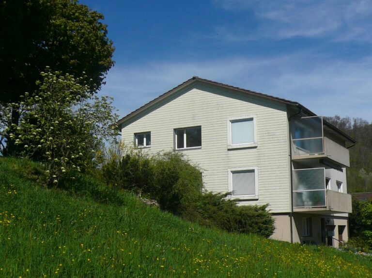 mfh kaufen mittelland