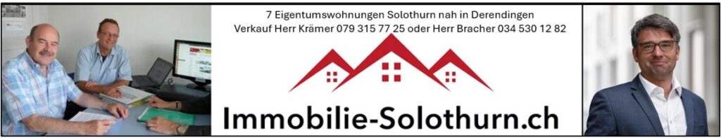 wohnung kaufen solothurn