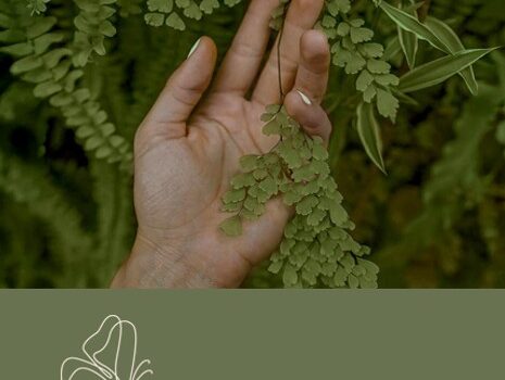 ayurvedahotel schwarzwald